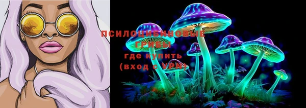 гидропоника Алексеевка