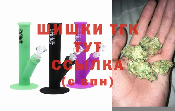 молекула духа Мегион