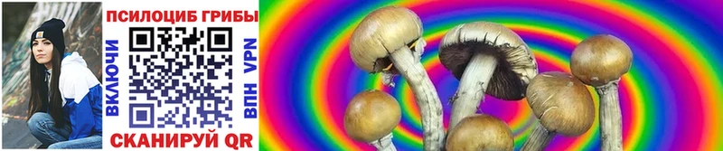 Галлюциногенные грибы Psilocybe  Смоленск 