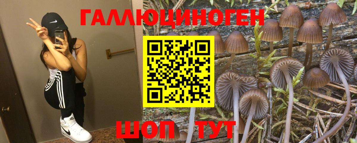 Псилоцибиновые грибы мицелий Смоленск