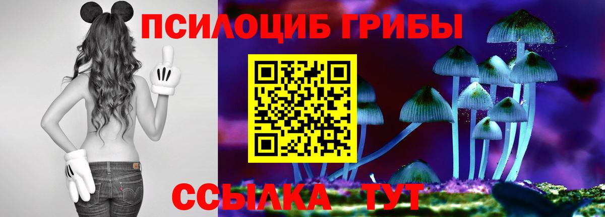 продажа наркотиков  Псилоцибиновые грибы мицелий  Галлюциногенные грибы Cubensis  Вход с VPN  Смоленск 