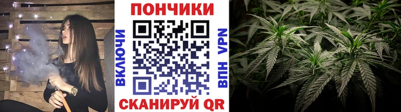 МАРИХУАНА ГИДРОПОН продажа наркотиков Смоленск